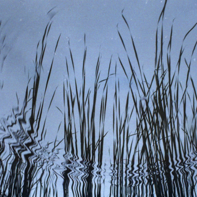 Reflections - Fuji 200, Chinon CM4s, Octomber 2014