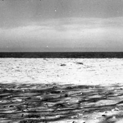 Vadu Beach - AZO 100 Chinon CM4s, May 2014